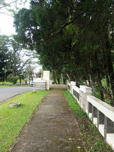 A weathered brick walkway stretches towards a shaded area lined with leaning trees and a low stone wall. The wall is painted white, contrasting with stone sections. Lush green grass borders the path on one side, meeting a road. In the background, more trees and a car are visible. The scene evokes a sense of quiet tranquility in a park-like setting.