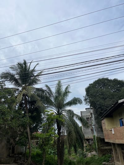 The image depicts an outdoor scene with multiple utility wires stretching across the frame, set against a cloudy sky. In the background, there are buildings and lush greenery, including palm trees. One building appears to be under construction or in disrepair, with exposed brickwork. Another building is a light yellow color with a blue tarp visible. The palm trees are large and leafy, with fronds extending outwards. The overall setting suggests a tropical or subtropical environment, likely in a residential or semi-urban area. The lighting indicates it is daytime, but the overcast sky suggests it might be a cloudy or possibly rainy day. No people are visible in the image. No text is discernible.