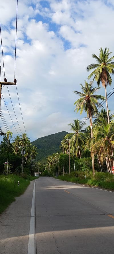 The image depicts a road scene in Ko Pha-ngan, Thailand. A paved road runs diagonally across the frame, with a white line marking its edge. The road is flanked by green vegetation and palm trees. A densely forested mountain is visible in the background. Overhead, utility poles and wires run alongside the road. The sky is partially covered with clouds.