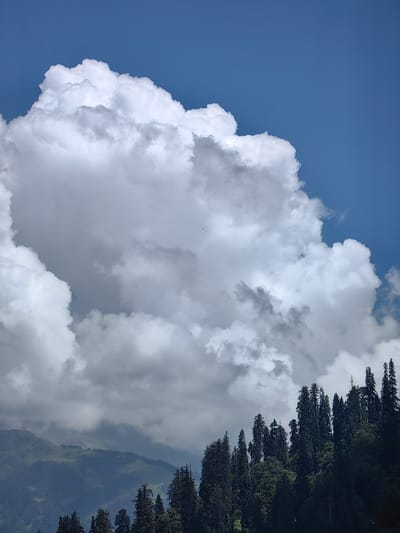 This image captures a panoramic view of a mountainous landscape in Palchan, India, under a dynamic sky. The dominant feature of the sky is a massive, fluffy white cumulonimbus cloud, casting shadows on itself and hinting at the presence of more diffused clouds and a clear blue sky peeking through. Below the vast expanse of the sky and clouds, a dense forest of tall, dark green coniferous trees lines the slope of a mountain. The trees are densely packed, their pointed tops reaching towards the sky, creating a textured silhouette against the lighter background. In the distance, the rolling contours of more mountains are visible, partly obscured by haze and shadows, with patches of green indicating vegetation or grassy slopes. The overall impression is one of a natural, untamed environment, where the grandeur of the mountains and the drama of the sky combine. There are no people or specific man-made structures immediately visible in this frame.