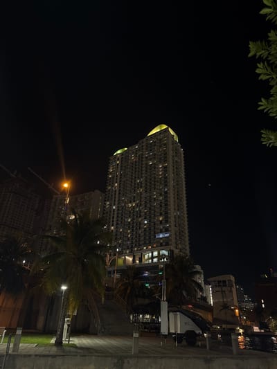 A tall building dominates the dark scene, illuminated with many lights. Palm trees stand in front of the building. A walkway is to the right of the image, with lighting fixtures and possible steps. Leaves appear at the top of the photo. Other buildings, lights, and structures appear in the background.
