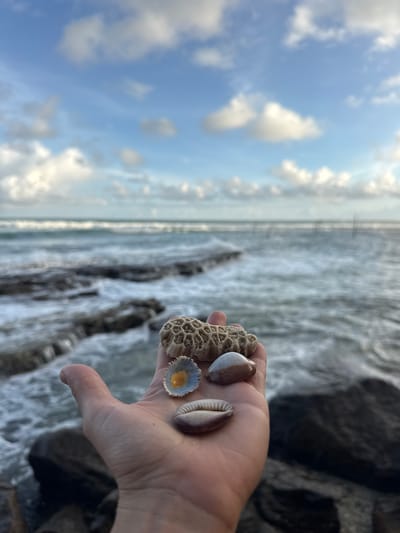 A human hand, palm up, is held in the foreground, displaying a collection of seashells and coral. The items include a piece of textured, light brown coral, two tan-colored shells, and a small shell with a blue interior and yellow center. The hand and collected items are positioned over a rocky coastline with waves crashing onto the shore. In the background, the ocean stretches to the horizon under a partly cloudy blue sky. The location is identified as Ahangama, Sri Lanka.