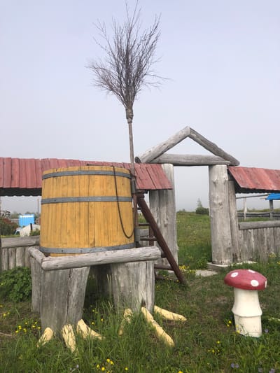 This image captures an outdoor scene featuring rustic wooden structures and decorative elements, located in the city of Yana, Russia. The foreground is dominated by lush green grass dotted with small yellow wildflowers. Several light-colored, somewhat curved objects, resembling logs or branches, are scattered among the grass. To the right, a decorative mushroom sculpture, with a red cap and white polka dots atop a white stalk, stands in the grass.

A large, bright yellow wooden barrel, reinforced with dark metal bands, is a central feature. It rests on a base constructed from rough-hewn logs. A dark chain hangs down the side of the barrel. Behind the barrel, a wooden ladder leans against a wooden structure.

A prominent, arch-like wooden gateway, also constructed from rough logs with triangular caps, stands to the right of the barrel. Red wooden panels form roofs over sections of the structures, suggesting covered areas or fences. In the background, a sparse, leafless tree or a large broom-like object with many thin branches stands tall against a pale, overcast sky. Further in the distance, a faint view of trees and vegetation can be seen. The overall atmosphere is rural and somewhat whimsical, with a focus on natural materials.