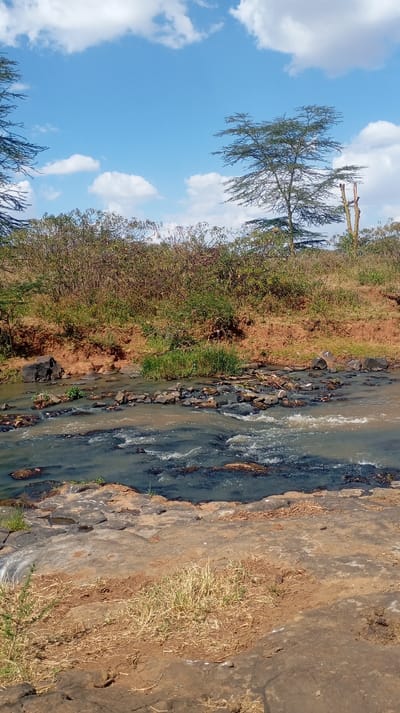 A landscape shows a shallow, flowing river with visible rocks and dark-colored water. The riverbanks are earthy and slightly elevated, supporting green vegetation. A scattering of trees are visible, with one large tree dominating the horizon under a partially cloudy, blue sky. The foreground features rough, rocky terrain.