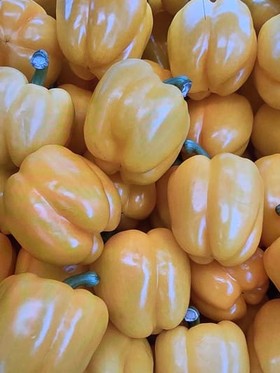 The image shows a close-up, overhead view of a large pile of yellow bell peppers. The peppers are plump and glossy, with visible reflections of light on their surfaces. Some of the peppers have green stems. The scene is a still life of fresh produce. There is no indication of a specific location in Voluntari, Romania.