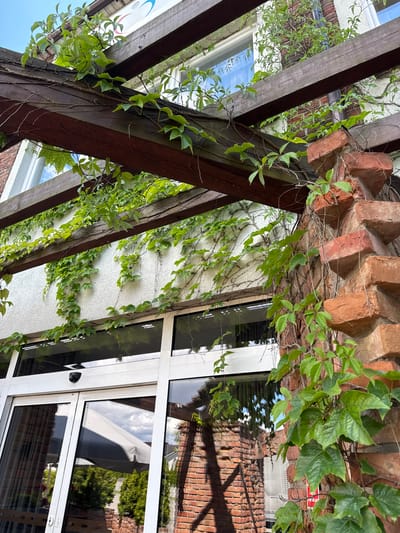 This image, taken in Duszniki, Poland, shows an exterior view of a building with a wooden pergola covered in green ivy. The pergola's dark brown wooden beams are visible, with ivy vines trailing over them and down the white stucco wall of the building. To the right, a textured brick pillar is partially obscured by the ivy. Below the pergola, large glass doors with white frames suggest an entrance. Reflections of the sky, trees, and an outdoor umbrella are visible in the glass. A security camera is mounted above the doors. The scene appears to be a sunny day.