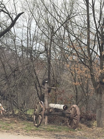 In Iamna, Bulgaria, a rustic, wooden, cannon-like structure rests on unpaved ground. The structure features a dark wooden carriage with two large, spoked wooden wheels. Its barrel component is wrapped in a white, textured material, possibly birch bark, with a dark, open bore visible at the front. Directly behind this, a weathered wooden post is topped with a dark, curved object resembling a worn shoe or boot, positioned to display a white interior that creates the appearance of a smiling face. The immediate foreground consists of a dirt path with sparse green and brown vegetation and some scattered debris. The background is dominated by a dense, bare deciduous forest, indicating late autumn or early spring, with some trees still holding scattered dry, brown leaves. The sky is overcast and uniformly grey-white. No individuals are present in the scene.