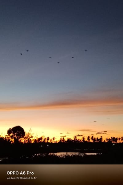 The image depicts a sunset scene in Blangkutacoh, Indonesia. The sky transitions from a deep blue at the top to warm hues of orange and yellow near the horizon, suggesting the sun is setting. Silhouetted against this vibrant sky is a line of palm trees and other vegetation, forming a dense border along the landscape. In the foreground, a body of water reflects the colors of the sky.
Several small, dark objects are visible in the sky, scattered across the upper portion of the image. Their shape is indistinct, but they appear to be small and numerous, possibly birds or insects.
The overall mood of the image is peaceful and serene, evoked by the natural beauty of the sunset and the stillness of the landscape. The warm colors of the sky create a sense of calm.
At the bottom of the image, there is text that reads "OPPO A6 Pro" and "23 Juni 2026 pukul 19.17". This indicates that the image was taken with an OPPO A6 Pro phone on June 23, 2026, at 7:17 PM.