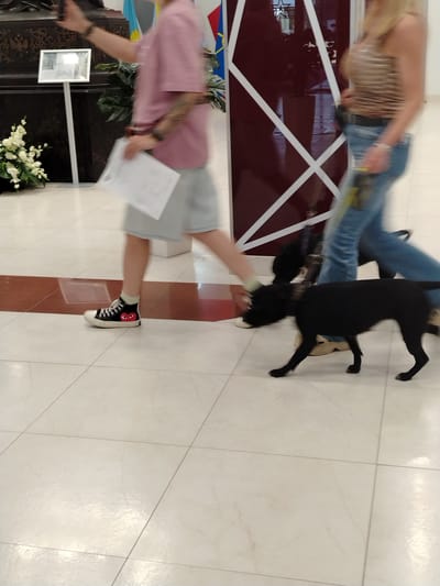 In Zelenaya Roshcha, Russia, a person wearing a pink t-shirt and grey shorts, with visible tattoos on their arm, walks from left to right, holding a piece of paper. They are wearing black high-top Converse sneakers adorned with red heart logos. To the right of this person, a black dog on a leash walks alongside them, also moving from left to right. In the background, a woman wearing a striped top and blue jeans walks further to the right. The scene takes place indoors, on a tiled floor with a reddish-brown horizontal stripe running across it. A floral arrangement is visible to the far left, and a tall, dark maroon structure with white geometric patterns is present in the background.