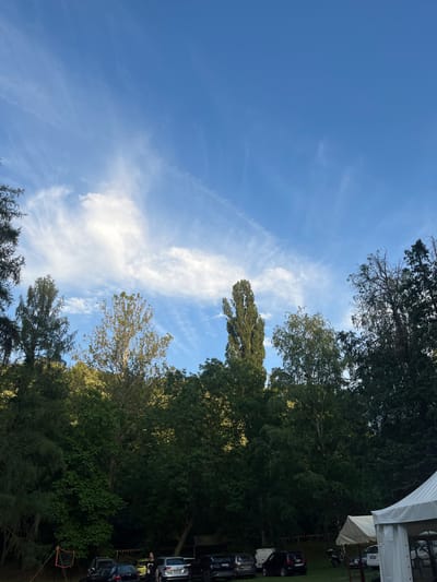 The image depicts an outdoor scene in Sremski Karlovci Municipality, Serbia, at the edge of a dense forest under a partly cloudy blue sky. The upper portion of the frame is dominated by a clear blue sky with white, wispy cirrus clouds, including a prominent, brighter cloud formation positioned towards the left. The lower half and sides of the image are filled with a variety of green trees, appearing as a dense forest line. Notable tree types include a tall, slender, columnar tree on the left-center, and a mix of broadleaf and coniferous trees with varying shades of green foliage.
At the bottom of the frame, a grassy area functions as an event space or parking lot. Several vehicles are parked on the grass, including dark-colored SUVs and sedans, and at least one light-colored SUV. On the far right, two tents are visible: a prominent white event tent in the foreground and a smaller, cream-colored tent behind it. A string of triangular bunting flags is strung across the background, visible above the parked cars and in front of the trees, suggesting an ongoing event or celebration. On the far left, a small orange-framed net, possibly for volleyball or badminton, is set up on the grass. One individual, appearing to be an adult male in a light-colored top, stands near a silver SUV in the lower-middle section of the image. The lighting indicates daytime conditions, possibly late afternoon, with sunlight illuminating some tree canopies while others remain in shadow.