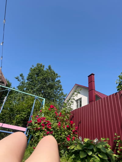 The image depicts a bright, sunny day in the village of Afanasyevo, Russia. In the foreground, two bare legs are visible, suggesting a person is lying down or sitting with their legs extended. Behind the legs, a vibrant bush of red roses is in bloom, accompanied by lush green foliage. To the left, a blue and green swing set with a pink seat stands partially obscured by trees and a section of a brown roof. Further back, a white brick house with a red roof and a tall, red metal chimney is visible, bordered by a striking red corrugated metal fence. The sky above is a clear, brilliant blue.