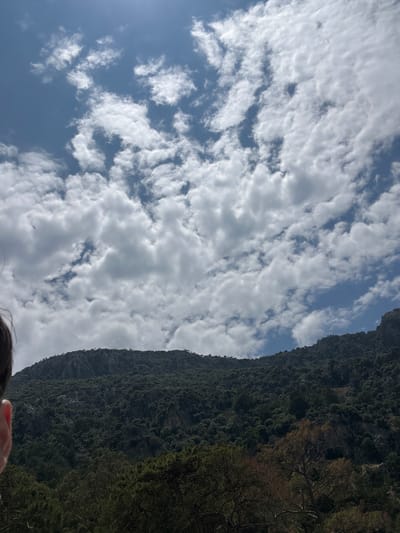 The image captures a view in what appears to be a natural setting. A densely vegetated mountainside occupies the right side of the frame, its foliage transitioning from darker greens at the top to lighter shades towards the bottom, with visible patches of bare branches among the trees. On the left, a bright sky filled with puffy white clouds stretches across the frame, contrasting with patches of clear blue. The presence of the clouds suggests daytime conditions, and the strong light indicates it might be midday. The viewpoint seems to be angled upward, looking towards the sky and the mountain peak. Based on the prompt, the location is Ortaca, Turkey, but specific details to pinpoint the exact spot are not present in the image itself. It is likely a forested area near a mountain.
