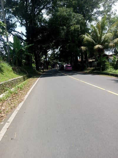 The image depicts a road in Nawng Hkar, Myanmar. The asphalt road has a solid yellow center line and a white shoulder line. A pink minivan is visible in the distance. A few people are walking on the left side of the road. Trees line both sides of the road, creating a canopy overhead. There are also buildings visible in the background on the right side of the road. The environment appears to be lush with vegetation.