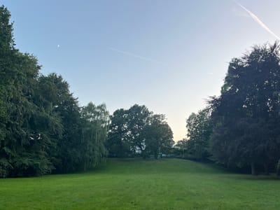 The image captures a park in Bottrop, Germany, likely taken during late afternoon or early evening. The sky is clear with a pale blue hue, featuring a faint crescent moon on the left and two contrails from airplanes stretched across the expanse. A gentle slope of well-maintained green grass occupies the foreground and midground, leading up to a line of mature trees. On the left side of the frame, large, dark green trees with dense foliage dominate the landscape. In the center, a cluster of trees includes a prominent deciduous tree with a weeping habit, and further back, a larger, more rounded tree. To the right, a very large, dark-leaved tree with a broad canopy is situated. The background reveals a building with a white facade and darker accents, partially obscured by trees. There are no people visible in the image. The overall impression is one of a serene, natural environment within an urban setting.