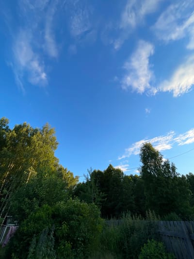 This is a low-angle, vertical shot of a clear blue sky with scattered white clouds, overhung by the lush green canopy of trees. On the right side of the image, a wooden fence or structure is visible, with dense foliage growing around and beyond it. The trees appear to be deciduous, with their leaves illuminated by the sun, suggesting it is daytime. The scene evokes a sense of peacefulness and natural beauty. There is a thin wire running diagonally across the upper portion of the sky. The location is identified as Zarechny, Russia.