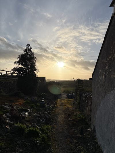 The image displays a rural scene under a partly cloudy sky, characteristic of sunrise or sunset, in the vicinity of Stiperstones, United Kingdom. The sun, a bright luminous disc, is low in the sky, positioned left of center, generating a significant lens flare. A large, dark conifer tree stands prominently on the left, silhouetted against the bright light. Behind the tree and to its left, a wooden fence with horizontal rails is visible atop an earthen bank. Below this bank, the foreground features a rocky terrain interspersed with green vegetation, including small tufts of foliage and at least one white flower, near which a dark, kettle-shaped metal object rests. A thin power line stretches horizontally across the upper-mid section of the frame. On the right, the light-colored, textured, rendered wall of a building occupies the foreground, extending vertically out of frame. Parallel to the unpaved, gravel-like path leading into the distance, a dry-stone wall runs from the mid-ground towards the background. A dark vehicle is partially visible beyond the dry-stone wall, to the right of the path. In the distance, a flat, open landscape of fields and low hills is discernible under the hazy sky, with a corrugated metal structure partially visible behind the conifer tree. No individuals are present.