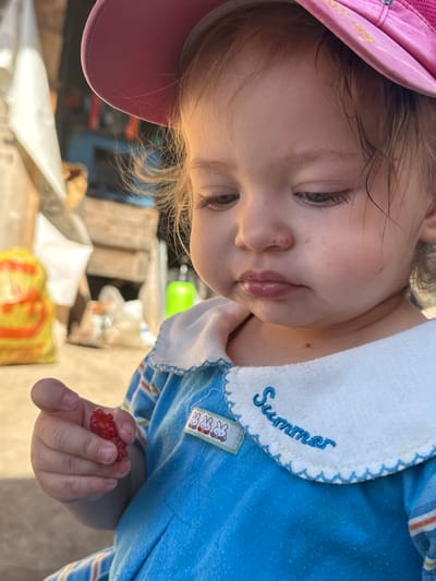 The image is a close-up shot of a toddler wearing a pink sun hat and a blue and striped garment. The toddler is holding a red raspberry in their left hand, about to bring it to their mouth. The child has light brown hair and is looking down at the berry. The collar of the garment has "Summer" embroidered on it in blue cursive. A small patch with three white rabbits is visible on the left side of the collar. In the blurred background, there appear to be outdoor structures and possibly other objects. The overall setting suggests an outdoor environment, possibly a yard or a casual outdoor area. The location is stated as Nizhnyaya Gar', Russia.