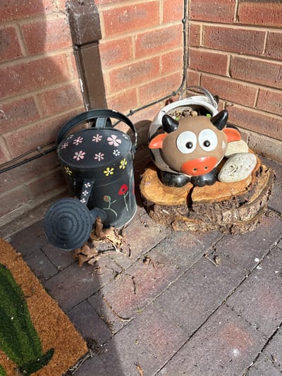 The image depicts a ground-level scene in what appears to be a garden or patio area. The location is potentially in the city of Minsterley, United Kingdom. The ground is paved with red and gray bricks laid in a running bond pattern. Present are a ceramic cow head planter in a white container, a section of a wooden log, and a dark-colored watering can adorned with floral patterns. Dried leaves are scattered on the ground near the watering can. Part of a brown and green door mat is visible in the lower right corner. A low, dark-colored border edge is visible along the brick paved area. The scene is illuminated by sunlight, creating shadows from the objects present. No people are visible.