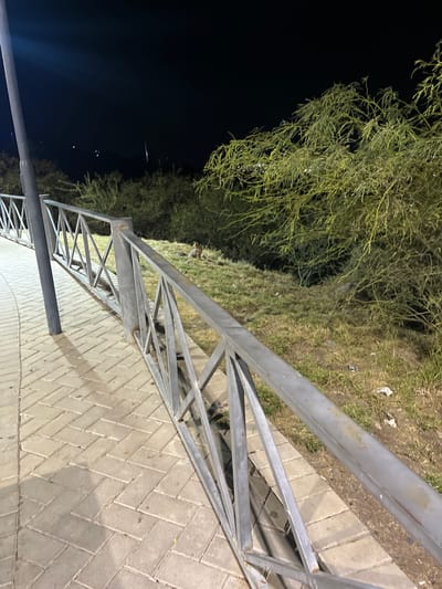 A metal barrier runs along a brick-paved walkway at night in San Fernando del Valle de Catamarca, Argentina. The walkway is bordered by vegetation including trees and grass. The sky is dark. The overall lighting is dim.