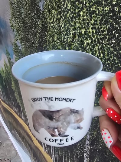 An overhead medium shot shows a white ceramic mug filled with coffee. The mug has a blue interior and a handle. The exterior of the mug features a graphic of a bear and text that reads "ENJOY THE MOMENT" and "COFFEE TIME." A person's hand with bright red nail polish, some with white polka dots, is holding the mug. The background is out of focus but appears to be a textured green surface. The image appears to have been taken outdoors. There is no discernible information to place the image in Nova Kakhovka, Ukraine.