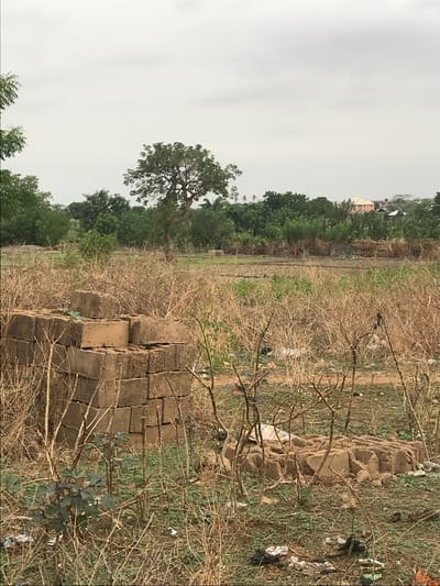 The image shows a field in Ilorin, Nigeria. In the foreground are stacks of mud bricks and dry, brown vegetation. Beyond this, the ground appears to be a mix of dry dirt and sparse greenery. In the midground is a line of trees and a single large tree with a dense canopy. In the background, some buildings can be seen in the distance under a grey, overcast sky. There are no people visible in the image.