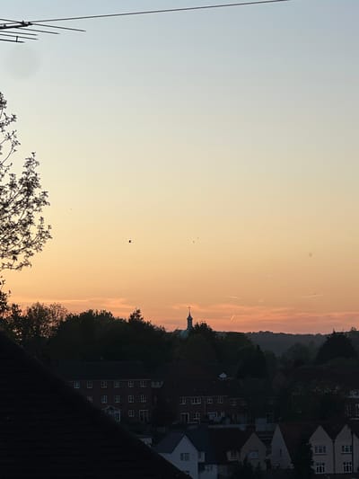 The image presents a serene panoramic view of a town and its surrounding landscape, captured during either sunrise or sunset. The sky dominates the upper and mid-sections of the frame, displaying a soft gradient of colors, transitioning from a pale light blue on the left to warm oranges and soft pinks on the right. Faint white contrails from aircraft are visible across the atmospheric expanse. Scattered across the sky are several small, dark specks, likely birds or insects, with one more distinctly shaped bird in flight towards the center.
In the mid-ground, a hazy, dark silhouette of distant hills or forested land stretches across the horizon, illuminated by the low-lying sun. Below this, a patchwork of dense, dark tree lines and residential buildings forms the urban landscape, largely appearing as silhouettes against the luminous sky. A prominent dark steeple or spire, suggesting a church, rises above the tree line towards the right-center of the frame.
The foreground features dark, silhouetted tree branches extending into the shot from the bottom left and right corners. On the far left, parts of a metallic antenna structure are visible. Rooftops of houses can also be seen in the bottom right, mostly in shadow. The elevated perspective offers a peaceful vista over what appears to be a suburban or urban area, characteristic of the High Wycombe, United Kingdom region, bathed in the gentle, transitional light of dawn or dusk. No people or visible text are present.