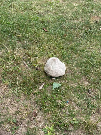 The image depicts a medium-sized, light-colored, smooth rock situated on a grassy area. The grass appears somewhat dry and sparse in places, with scattered dry leaves and twigs. A single green leaf lies near the rock, and a small pinecone is visible in the lower right portion of the frame. The environment suggests an outdoor setting, possibly a park or unkempt lawn, within the city of Zhdanovichi, Belarus. No people or specific actions are evident in the scene.