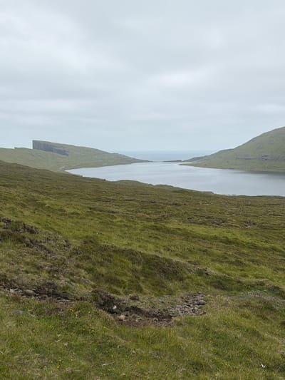 A wide, elevated view captures a tranquil lake surrounded by green, undulating hills under an overcast sky. The lake's surface is a placid grey, reflecting the muted light. To the left, a distinctive, flat-topped cliff formation juts out towards the water, its edges sharply defined. The foreground consists of a grassy slope, dotted with small yellow flowers and patches of exposed earth and rocks. The overall scene suggests a remote, natural landscape, characteristic of the Faroe Islands, potentially near Miðvágur. There are no people or immediate signs of human activity visible in the frame.
