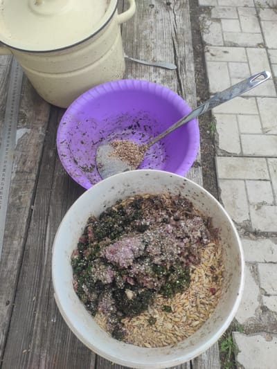 A high-angle shot captures a weathered wooden table with two bowls of food and a large pot. To the left, a light yellow pot with a lid sits on the table. Beside it, a metal ruler is placed vertically. A purple bowl is positioned in the center, containing a mixture of feed and a silver serving spoon. To the right of the purple bowl, a white bowl is filled with a textured mixture of grains, green material, and what appears to be small pink particles. The table surface is rough and aged, with visible grain patterns and some wear. The background shows a light-colored tiled area with some grass growing between the tiles, suggesting an outdoor setting. The lighting is natural, indicating daylight. The scene is devoid of any human presence. The city of Некрасовка, Kazakhstan, is a rural administrative center. Based on the elements in the image, the scene is likely an outdoor preparation area, possibly for animal feed or bait, in a rural or semi-rural environment.