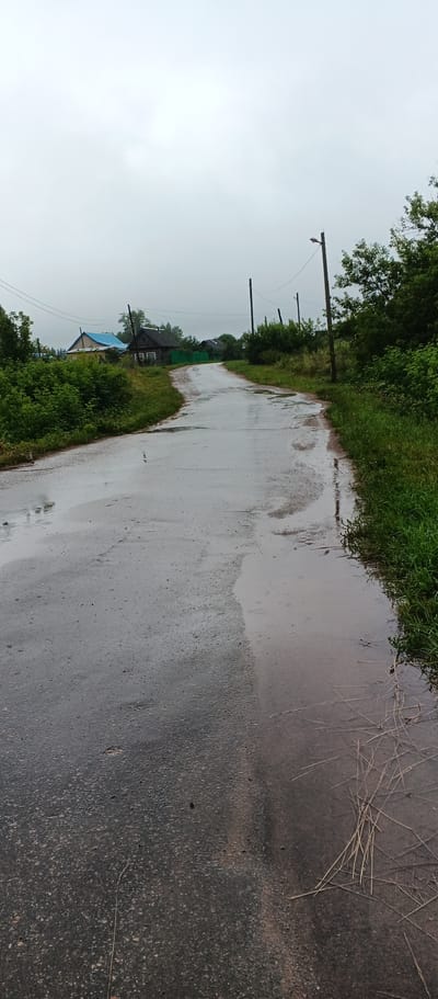 The image depicts a wet, paved road winding through a rural village, likely in Podgornoye, Russia. The sky is overcast and a light rain is falling, evidenced by ripples on the road's surface and puddles. On either side of the road, lush green vegetation and trees grow densely. In the distance, several houses are visible, some with traditional wooden architecture and others with more modern blue and yellow roofs. Electrical poles with wires are scattered throughout the scene, indicating the presence of infrastructure. The road itself is somewhat worn, with cracks and patches visible. The overall impression is one of a quiet, somewhat damp, and typical village environment on an overcast day.