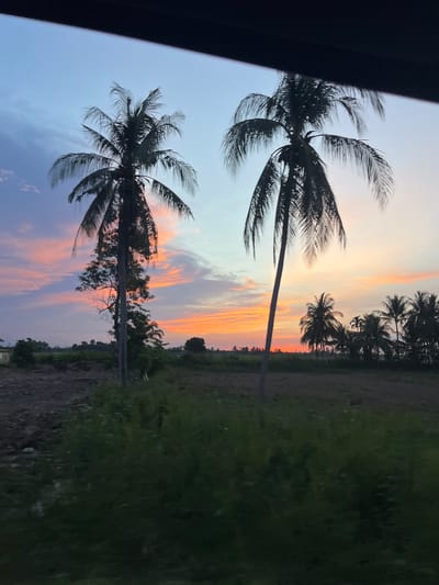 A scenic twilight view unfolds in Matangpanyang, Indonesia, featuring a dramatic sky painted with hues of orange, pink, and purple, indicative of a setting sun. Two prominent silhouetted palm trees stand tall in the foreground, their fronds fanning out against the vibrant sky. To the right, a cluster of smaller palm trees forms a line against the horizon. The landscape below consists of dark, tilled earth and fields of green vegetation, with a few scattered trees further in the distance. The scene is captured from what appears to be a moving vehicle, suggested by the dark, blurred frame at the top of the image and the motion blur present in the foliage. The overall impression is one of a tropical sunset, serene and picturesque.