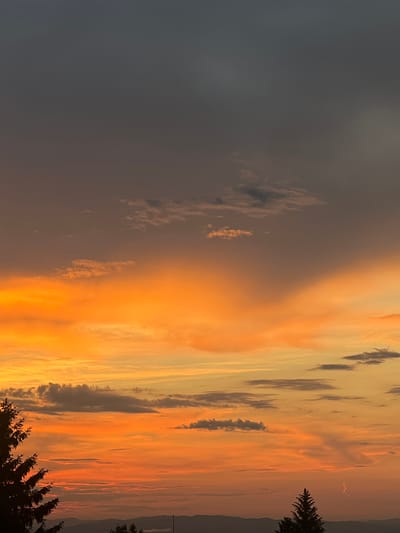 The image captures a dramatic sunset over a landscape that appears to be located in or near Markovo, Bulgaria. The sky is ablaze with vibrant hues of orange and yellow, transitioning to darker shades of grey and blue at the top of the frame. Wispy clouds are scattered across the sky, some catching the warm light of the setting sun and appearing as streaks of fire, while others remain in shadow. Silhouetted against the colorful sky are the dark shapes of evergreen trees on the left and right sides of the frame, and a distant, hazy mountain range along the horizon. There are no people or discernible actions depicted in the image, focusing solely on the natural spectacle of the sunset.