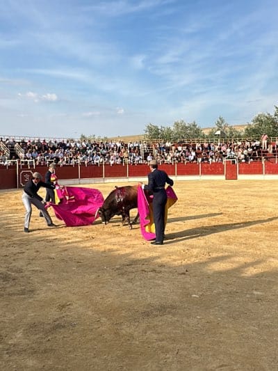 Here is a detailed description of the image:
**Scene:** A bullfight is in progress within a bullring. The bullring is filled with sand, and a crowd is visible in the stands.
**People:** Two matadors are actively engaged in the bullfight. One wears a light gray top and pants, while the other is dressed in a navy blue uniform.
**Animal:** A dark-colored bull is the central subject of the bullfight, appearing to be the target of the matadors' actions.
**Objects:** Two large, brightly colored capes are being used by the matadors. A red barrier encircles the ring, separating the fighting area from the spectators.
**Actions & Interactions:** The matadors are performing maneuvers with their capes to provoke and control the bull's movements. The bull is reacting to the capes, engaging in the traditional bullfighting interactions.
**Environment:** The event is taking place during daylight under a clear blue sky with scattered clouds. The surrounding landscape features trees, suggesting the event is held in an area outside the main urban center.
**Location:** Based on the presence of a bullring and the style of the event, the scene likely takes place in San José del Valle, Spain.