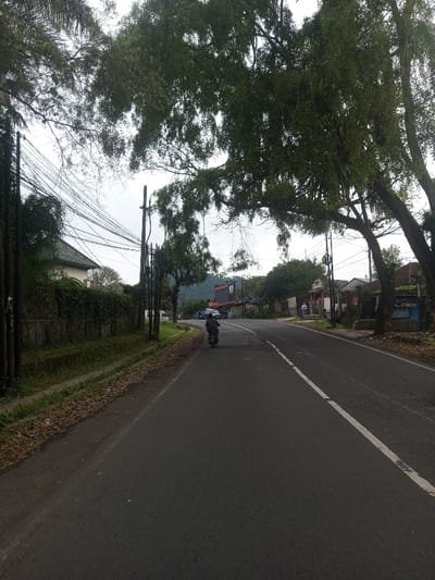 The image displays a street scene in Sat Thay (East), Myanmar, under an overcast sky. A dark asphalt road dominates the foreground, featuring a broken white center line and a solid white edge line on the right. A single individual on a dark-colored motorcycle proceeds away from the viewer in the left lane.
On the left side of the road, a dirt shoulder is visible, partially covered with brown leaves. Beyond this, a low concrete wall is topped with dense green foliage, obscuring a white building with a green tiled roof that is partially visible. Several dark utility poles stand along this side, supporting a complex array of black electrical and communication wires that crisscross overhead.
The right side of the road also presents a dirt shoulder. Large trees with thick green foliage heavily overhang the roadway, casting shadows. Further down the road on the right, additional utility poles are present. A red billboard-like structure is visible in the middle distance. Closer to the foreground on the right, a distinctive small, red and white structure, possibly a shrine or bus stop, stands by the road, with two indistinct human figures standing nearby. Adjacent to this and further down, a small blue kiosk is partially visible. In the background, distant hills or mountains are discernible beneath a pale, cloudy sky.