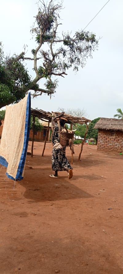 This image depicts an outdoor scene in Fizi, Democratic Republic of the Congo. The ground consists of reddish-brown, unpaved soil under a light gray, overcast sky.
In the midground, a female individual, positioned with her back partially to the camera, walks from left to right. She wears a dark, patterned long dress and light-colored flat shoes. She carries a dark brown woven basket on her back, secured by a strap over her head, containing several small, light-colored, irregularly shaped items. Concurrently, she balances a bundle of rough-hewn tree branches or firewood on her head, with her right hand extended to stabilize it.
To the immediate left, a large, light-beige or off-white tarpaulin, featuring a prominent blue vertical border, hangs vertically. In the background, to the right of the walking individual, a rudimentary wooden shelter with a simple stick roof frame is visible. Further right, a small, rectangular structure constructed from red bricks, topped with a thatched roof and featuring a single dark rectangular opening, stands. Distant figures, consistent with children, are discernible further in the background on the right.
A large tree with a thick trunk and a canopy of mostly defoliated branches interspersed with clusters of green leaves extends across the upper left and central portions of the frame. A thin, dark line, consistent with a wire or cable, traverses the upper right quadrant of the sky.