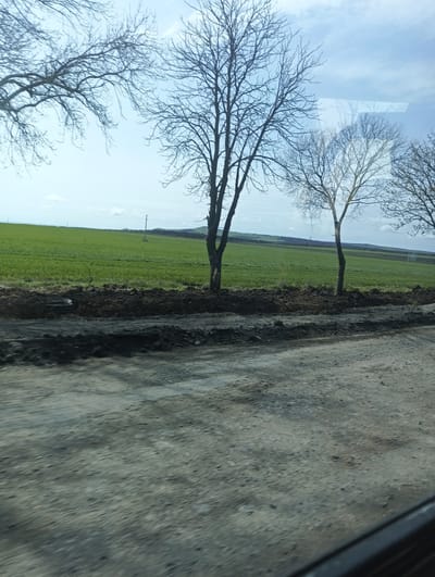 The image depicts a rural landscape on the outskirts of what is likely the city of Sokolovo, Bulgaria, given the user's instructions. A green field stretches across the midground under a partially cloudy sky. Several bare trees stand along the field's edge, interspersed with dark soil. The foreground features a rough, unpaved road. The image appears to have been taken from inside a vehicle, suggested by the blurred motion and a glimpse of the vehicle's interior in the lower right corner. No people are visible in the scene. The environment suggests a transitional season, possibly late winter or early spring, indicated by the lack of leaves on the trees and the emergence of green vegetation. Power lines are visible in the background.