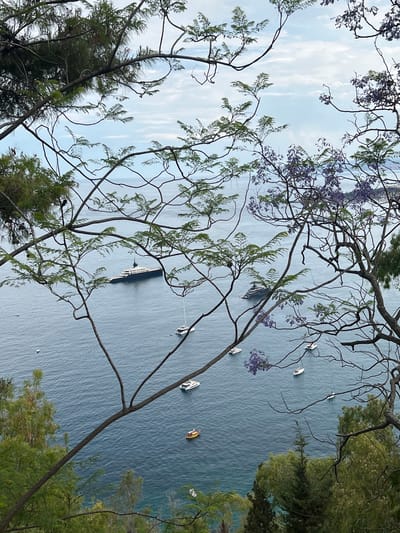 The image captures a high-angle view of a serene bay with several boats of various sizes anchored in the calm, blue water. The foreground is dominated by the branches of trees, some with green foliage and others adorned with delicate purple flowers, framing the scene. In the mid-ground, a large, dark yacht with a prominent mast is a focal point, accompanied by several smaller sailboats and a few dinghies scattered across the bay. The water reflects the overcast sky, creating a muted and peaceful atmosphere. The background hints at a coastline with lush greenery, suggesting a Mediterranean setting. The scene is likely viewed from a vantage point on a hillside overlooking the water, consistent with the elevated views found in Taormina, Italy, known for its stunning coastal vistas. There are no people clearly visible in the image.