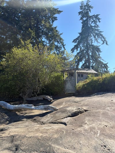 In the Southern Gulf Islands Electoral Area of Canada, a rustic wooden shed stands amidst lush greenery and large grey rocks. The shed, weathered and aged, features a metal roof and a wooden gate on its left side. A large, gnarled piece of driftwood rests on the rocks in the foreground, adding to the natural, untamed aesthetic of the scene. Tall evergreen trees frame the background, their branches reaching towards a clear blue sky, suggesting a bright, sunny day. The environment appears serene and secluded, with the natural elements taking center stage.