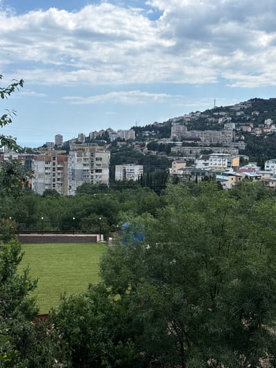 This is a vertically oriented, medium-shot, eye-level, outdoor photograph taken on a bright, cloudy day. The scene appears to be a coastal city built on a hillside, likely Yalta, Ukraine, given the context. In the background, a dense cluster of multi-story buildings, varying in architectural style and color, ascends the steep incline of a mountain covered in lush greenery. Some buildings have red-tiled roofs, while others are painted white or light gray. A tall transmission tower is visible in the distance, cresting the hillside.
In the foreground and mid-ground, the image is dominated by dense foliage from trees, with their leaves casting shadows on the ground. A section of a manicured, bright green lawn occupies the lower right quadrant of the frame, bordered by a black metal fence. The lawn appears to be artificial turf. Several white globe lights are strung along the fence line. The overall atmosphere is serene, with no people or specific activities clearly depicted, suggesting a quiet day in a residential or recreational area overlooking the city. The time of day is likely midday, based on the bright, diffused light characteristic of a cloudy sky. There is no visible text in the image.