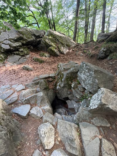 The image depicts a rocky terrain in Govedartsi, Bulgaria. Grey rocks of varying sizes form a natural staircase or path, covered partially by fallen leaves and moss. A dark crevice or small cave is visible between some of the rocks. Above, there are trees with green leaves, their branches reaching towards the sky. The scene suggests a natural, wooded environment. No people or animals are visible.