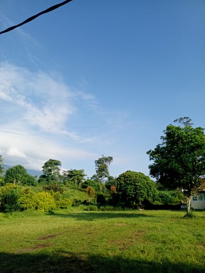 The image shows a green lawn with trees and shrubs in the background under a blue sky with scattered clouds. A power line runs across the top of the image. There are no people visible. The location is in a rural area, and Thalang, Laos, cannot be confirmed.