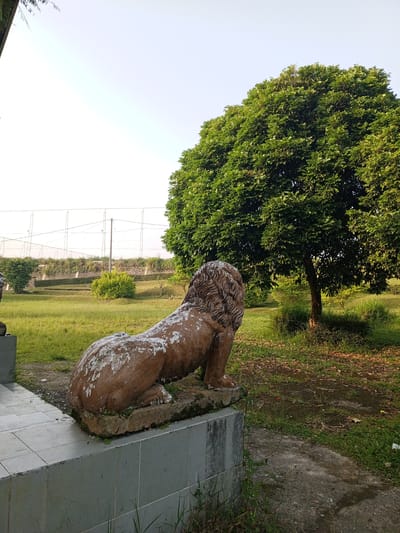 A weathered, brown lion statue, likely made of concrete or stone, is centrally positioned on a tiled concrete base in an outdoor setting in Kudawa, Sri Lanka. The statue faces away from the viewer, looking towards a large, verdant tree with dense foliage on the right side of the frame. White, worn patches are visible across the statue's back and head, suggesting age or exposure to elements.

The immediate surroundings consist of a grassy area, scattered with fallen leaves, and a dirt path on the right. In the background, a large green field leads to a series of low, manicured hedges and a concrete wall. Above this, a tall white netting structure, resembling a backstop or enclosure for a sports field, stretches across the horizon against a clear, bright sky. A light pole is visible behind the netting. Another, partially visible lion statue or similar structure can be seen on the far left. The scene is bathed in natural daylight, indicating daytime. There are no people or discernible activity, and no visible text in the image.