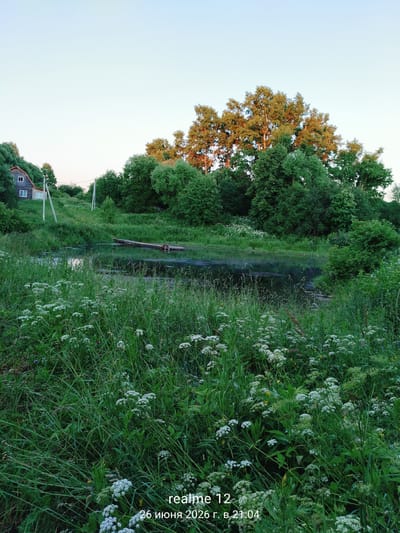 The image depicts a tranquil rural landscape in Novoe, Russia, likely during the evening given the soft lighting and clear sky. In the middle ground, a dark, still body of water, possibly a pond or slow-moving river, reflects the surrounding lush greenery. A small wooden pier or dock extends partially into the water from the right bank, appearing weathered and unused. The banks of the water are densely covered in tall, green grass and white wildflowers, creating a wild and natural aesthetic.
To the left, a rustic wooden house with a red roof sits on a gentle slope, surrounded by more vegetation. Power lines and poles are visible near the house, indicating a remote but inhabited area. The background is dominated by a dense forest with various shades of green trees, with some taller trees in the upper right catching the warm evening light. The overall impression is one of serene natural beauty and rustic simplicity. The bottom right corner of the image contains a timestamp: "realme 12 26 июня 2026 г. в 21:04".