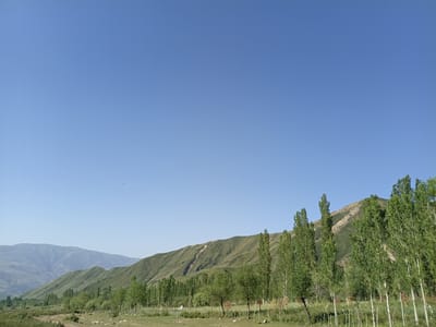 A wide, horizontal shot captures a serene landscape beneath a clear blue sky. In the foreground, a grassy field is dotted with small trees and a sparse fence line. Beyond the field, a range of rolling green hills stretches across the middle ground, with a more distant, hazy mountain range forming the backdrop. The overall impression is one of natural beauty and tranquility, typical of the rural outskirts of Kalaynay, Tajikistan. The image appears to be taken during daylight, possibly in the late morning or early afternoon, given the quality of light and the clarity of the sky.