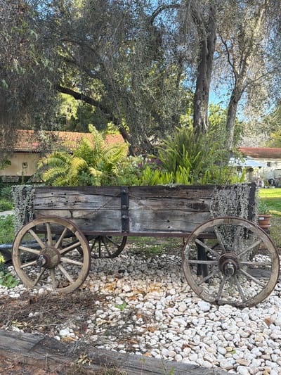 A wooden cart with two weathered wagon wheels sits on a bed of small white rocks. The cart is filled with green ferns and other plants. A large tree with bare branches overhangs the scene. A house with a red-tiled roof is partially visible in the background, adding depth to the scene.