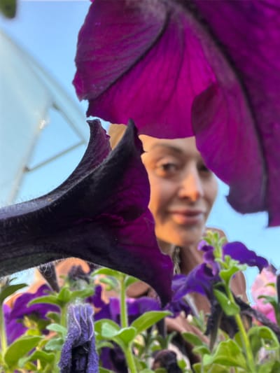 The image, taken in the city of Kansk, Russia, features a low-angle, close-up view of vibrant purple petunia flowers. Two large, dark purple petals dominate the foreground, obscuring much of the scene. In the background, a woman's face is visible, slightly out of focus, with bright lighting that creates a warm glow. She is smiling and looking towards the camera. The background beyond the flowers and the woman is a clear blue sky and a white structure, possibly a greenhouse or awning. The overall impression is a bright, outdoor setting with a focus on the floral elements framing the human subject.