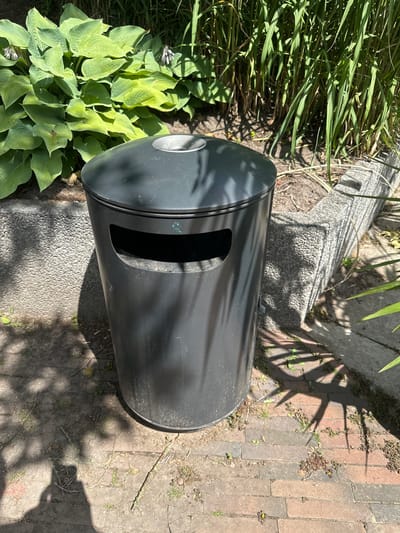 This is a forensic, matter-of-fact description of a scene located in Hamburg, Germany. The image depicts an outdoor public space, likely a park or garden area, featuring a dark gray, cylindrical trash receptacle with a silver-colored rim. The receptacle has a large, horizontal opening on its front. It is positioned on a ground surface composed of brick pavers and dirt. Adjacent to the trash can, a low, textured concrete barrier is visible, partially overgrown with vegetation. Behind the barrier, a dense cluster of lush green hosta plants with large, broad leaves is prominent. Further back, tall, slender green stalks of grass or reeds form a dense background. Sunlight casts dappled shadows from foliage onto the ground and the trash receptacle. The overall impression is one of a well-maintained urban green space. There are no people present in the image.