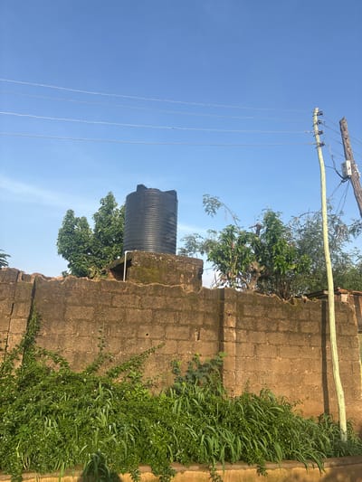 The image depicts an outdoor scene in Rukuba Road, Nigeria, under a clear blue sky. In the foreground, a dense thicket of green vegetation, including tall grass and leafy bushes, grows along the base of a weathered, brownish brick wall. The wall, constructed from rough-hewn blocks, shows signs of age and is topped with more greenery, including moss in some areas.
Dominating the mid-ground, perched on top of the wall, is a large, black cylindrical water tank. Behind the tank and wall, several lush green trees with dense foliage are visible. To the right of the frame, a wooden utility pole stands tall, painted in a pale green hue, with electrical wires strung horizontally across the sky behind it. A smaller, darker wooden pole is also present, attached to the main pole, with some electrical equipment mounted on it. The overall impression is of a functional, somewhat rustic, and well-watered environment, likely residential or a community area.