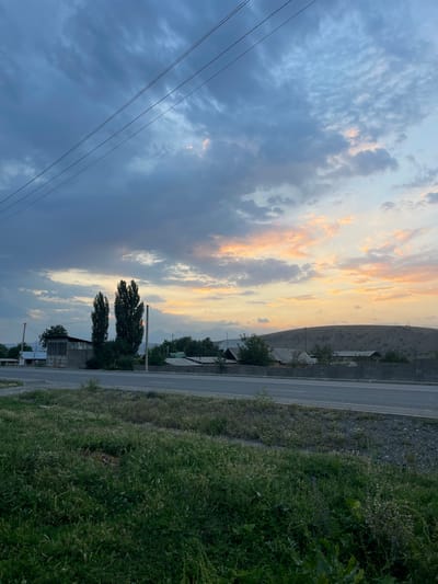 The image depicts a rural landscape near Taran-Bazar, Kyrgyzstan, during what appears to be sunset or sunrise. The sky is filled with dramatic clouds, with patches of orange and pink light suggesting the sun is low on the horizon. Three parallel power lines stretch across the upper portion of the frame. In the middle ground, a road runs horizontally across the image, bordered by a concrete wall. Beyond the road, a small collection of buildings and trees are visible, indicative of a village. Two tall, slender trees stand out prominently in the center left of the scene. The foreground is dominated by thick, green grass with some patches of wildflowers. A gentle, grassy hill forms the background on the right side of the image. No people or animals are visible in the scene.