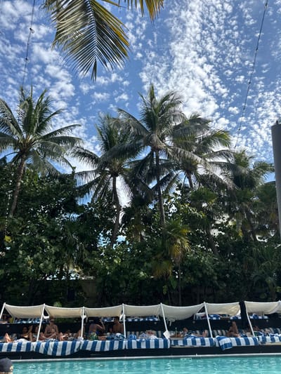 The image shows a swimming pool with a clear blue water surface. The pool is surrounded by a row of white sunbeds, with a blue and white striped pattern, placed under white canopies. Several people are relaxing on the sunbeds, wearing swimwear. The surrounding environment is lush, with tall palm trees and thick foliage, creating a tropical atmosphere. The sky is blue with a few white clouds. The scene is located at 25.816, -80.122, which corresponds to an area in Miami Beach, Florida, known for its luxurious hotels and resorts.